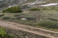 a group of people riding bicycles down a dirt trail in the mountains during daytime time