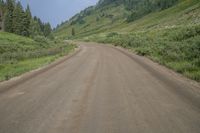 a long dirt road with grass and trees behind it and mountains in the distance on a sunny day