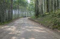 Colorado Landscape: Kebler Pass Mountain Road