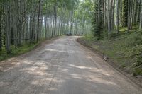 Colorado Landscape: Kebler Pass Mountain Road