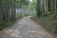 Colorado Landscape: Kebler Pass Mountain Road