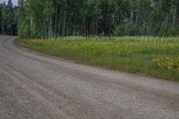 Colorado Landscape: Majestic Mountains and Alpine Terrain