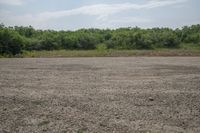 a man walking across an empty field towards a forest covered area holding a kite in his hand