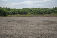 a man walking across an empty field towards a forest covered area holding a kite in his hand