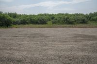 a man walking across an empty field towards a forest covered area holding a kite in his hand