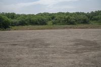 a man walking across an empty field towards a forest covered area holding a kite in his hand