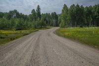 Colorado Landscape: Mountains, Forest, and a Beautiful Day