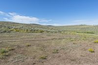 Colorado Landscape: Majestic Mountains and Natural Beauty