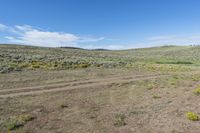 Colorado Landscape: Majestic Mountains and Natural Beauty