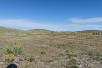 Colorado Landscape: Majestic Mountains and Natural Beauty