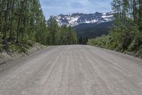 gravel road with mountain in background and tree line on the other side of it,