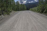 gravel road with mountain in background and tree line on the other side of it,