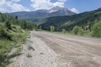 dirt road, with mountain in the background and trees on both sides and shrubs growing from the side