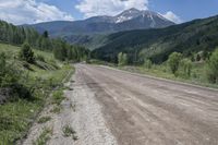 dirt road, with mountain in the background and trees on both sides and shrubs growing from the side