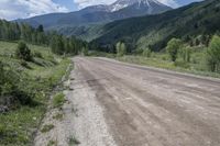 dirt road, with mountain in the background and trees on both sides and shrubs growing from the side