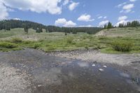 Colorado Landscape: Mountain, River, Grass 001