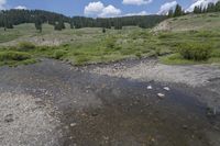 Colorado Landscape with Mountain, River, and Grass