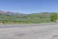 a motorcycle is parked on the street and a mountain range is in the background with flowers around