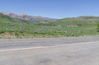 a motorcycle is parked on the street and a mountain range is in the background with flowers around