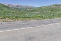 a motorcycle is parked on the street and a mountain range is in the background with flowers around