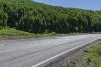 Colorado Landscape: Mountains and Vegetation