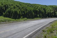 Colorado Landscape: Mountains and Vegetation