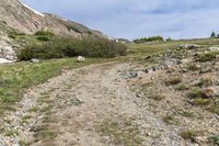 a goat that is walking across a trail near the mountainsides in alaska mountains on an open day