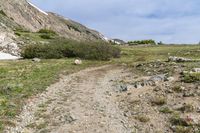 a goat that is walking across a trail near the mountainsides in alaska mountains on an open day