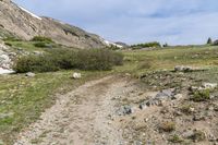 a goat that is walking across a trail near the mountainsides in alaska mountains on an open day