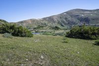 Colorado Landscape: Mountains and Grass