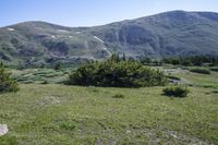 Colorado Landscape: Mountains and Grass