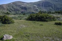 Colorado Landscape: Mountains and Grass