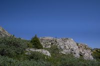 a person with a backpack on a cliff above some trees and plants, overlooking a large rocky hill, while looking up at the sky