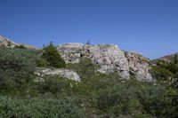 a person with a backpack on a cliff above some trees and plants, overlooking a large rocky hill, while looking up at the sky