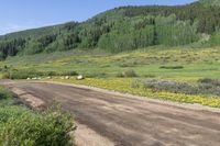 Colorado Landscape: Nature, Forest and Mountain