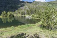 Colorado Landscape: Nature, Grass, and Mountain