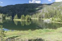 Colorado Landscape: Nature, Grass, and Mountain