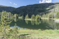 Colorado Landscape: Nature, Grass, and Mountain