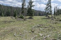 Colorado Landscape: Open Space and Nature