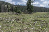 Colorado Landscape: Open Space and Nature