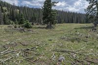 Colorado Landscape: Open Space and Nature