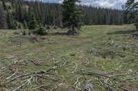 Colorado Landscape: Open Space and Nature