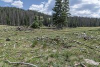 Colorado Landscape: Open Space and Nature