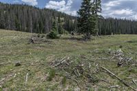 Colorado Landscape: Open Space and Nature