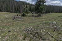 Colorado Landscape: Open Space and Nature