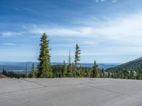 the curved road is near an evergreen mountain side area with rocks and trees in winter