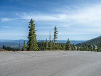 the curved road is near an evergreen mountain side area with rocks and trees in winter