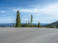 the curved road is near an evergreen mountain side area with rocks and trees in winter