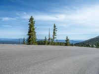 the curved road is near an evergreen mountain side area with rocks and trees in winter