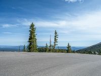 the curved road is near an evergreen mountain side area with rocks and trees in winter